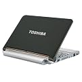 Toshiba 10.1" Mini Notebook Computer - Sable Brown (NB205-N330BN)