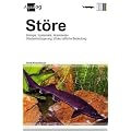 St�re: Eine Einf�hrung in Biologie - Systematik - Wirtschaftliche Bedeutung - Krankheiten - Wiedereinb�rgerung