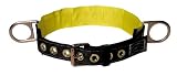 read full review FallTech 7060S Positioning Belt with Web Waist Support, Small