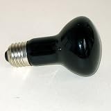 Reptile Vivarium Night Glo Moonlight Heat Lamp 60W (ES)