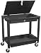 Astro Pneumatic (AP 8334) Heavy-Duty Plastic Utitlity Cart with Locking Lid