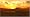 AFRIKA�C���[�W
