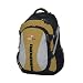 Swiss Gear Schwarzenburg Illuminated Daypack
