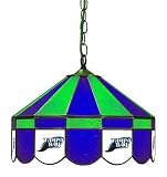 Imperial Tampa Bay Devil Rays Licensed 16-Inch Diameter Stained Glass Pub Light
