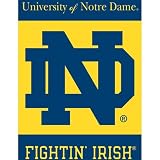 BSI Notre Dame Fighting Irish 28x40 Double Sided Banner
