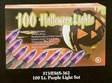 HaLlOwEen PURPLE 100lt String LIGHT SET 32ft indoor/out