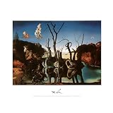 Professionally Framed Salvador Dali Swans Reflecting Elephants Art Print Poster - 11x14 with RichAndFramous Black Wood Frame