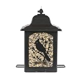 Perky-Pet 363 Birds and Berries Lantern Feeder
