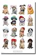 Keith Kimberlin (Puppies with Hats) Art Poster Print - 22x34