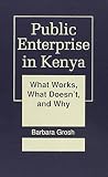Public enterprise in Kenya : what works, what doesn't, and why