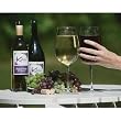Giant Wine Glass - 2-Pack