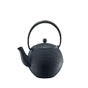 Bodum Assam 17-Ounce Cast-Iron Tea Press with Stainless Steel Filter