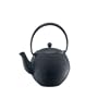 Bodum Assam 17-Ounce Cast-Iron Tea Press with Stainless Steel Filter