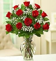 Rose Elegance Premium Long Stem Red R…