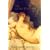 The Liquidator (A chronicle of modern twilight)