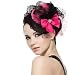 Feather Bow Hair Clip Lace Pink Mini Top Hat Party Lolita Cosplay Goth