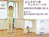 ぶらさがり健康器具　ベンチシート付