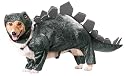 Animal Planet Stegosaurus Dog Costume