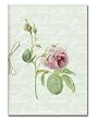 "Thank You" with 19th C. Rose - 5" x 7" Vellum Thank You Greeting Card