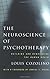 The Neuroscience of Psychotherapy: Building and Rebuilding the Human Brain