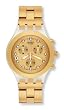 SWATCH - FULL-BLOODED - GOLD