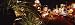 Buildings Lit Up at Night in a City, Las Vegas, Clark County, Nevada, USA Photographi...