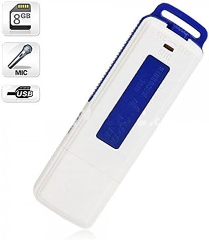 ALSstore 2-in-1 8gb Mini Hidden Pen Drive Portable Rechargeable Digital Audio Voice Recorder Pen /USB 2.0 Flash Drive
