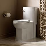 American Standard 2891.016.020 Boulevard One Piece Right Height Elongated Toilet, White