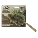 Play-N-Squeak Mouse Hunter Cat Toy ~ Play-N-Squeak