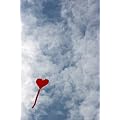 LA FORMA DELL'AMORE