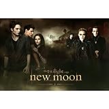 (24x36) The Twilight Saga: New Moon Movie (Both Sides) Poster Print