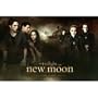 (24x36) The Twilight Saga: New Moon Movie (Both Sides) Poster Print