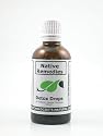 Native Remedies Detox Drops, 50 ml