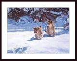 Cautious Approach by Banovich 34.00X26.00 Framed with Black Wood Frame