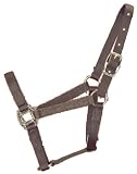 Hamilton 3/4 Nylon Quality Pony Halter, Brown