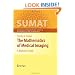 The Mathematics of Medical Imaging: A Beginner's Guide (Springer Undergraduate Texts in Mathematics and Technology)