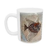 Fish (fossil) by Prehistoric - Mug - Standard Size