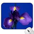 Mousepad - 9.25" x 7.75" Designer Mouse Pads - Flowers/Floral (MPFL-062)