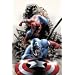 Spectacular Spider-Man Vol. 4: Disassembled