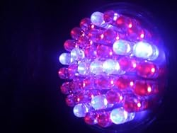 Acne Blue Red LED Light Therapy 38 LED Bulb for Treatment Acne and Acne Scars 415nm 660nm