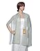 Remedios Light Weight Chiffon Sheer Evening Dress Shawl Scarves