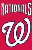 Washington Nationals Applique Embroidered Banner Flag 44x28 MLB Baseball Fan Shop Sports Team Merchandise