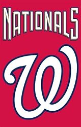 Washington Nationals Applique Embroidered Banner Flag 44"x28" MLB Baseball Fan Shop Sports Team Merchandise