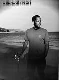 (24x36) Jack Johnson On Beach Music Poster Print