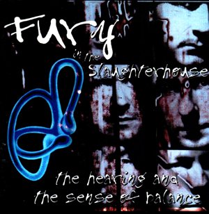 Fury in the Slaughterhouse - Down There (Radio Edit) Lyrics - Zortam Music