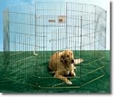 Pet Supplies : Precision Pet 1230-UXP30-G 30 Inch High Gold Zinc Ultimate Exercise Pen with Door