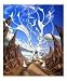 The access to the monument. Emerging Artists Photographic Poster Print by Noel Billy, 16x20