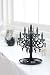 Black Metal Chandelier Tree Stand for Jewelry and Accessories / Earring Holder