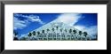 Pyramid, Moody Gardens, Galveston, Texas, USA Scenic Framed Art Poster Print by Panoramic Images, 31x15