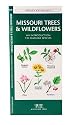 Missouri Trees & Wildflowers: An Introduction to Familiar Species (State Nature Guides)